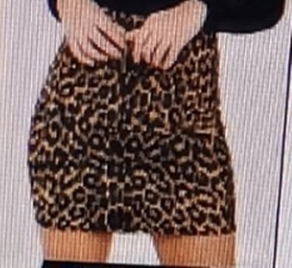 Leopard Print High Waist Skirt - Urban Pulse Life