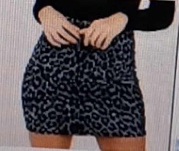 Leopard Print High Waist Skirt - Urban Pulse Life