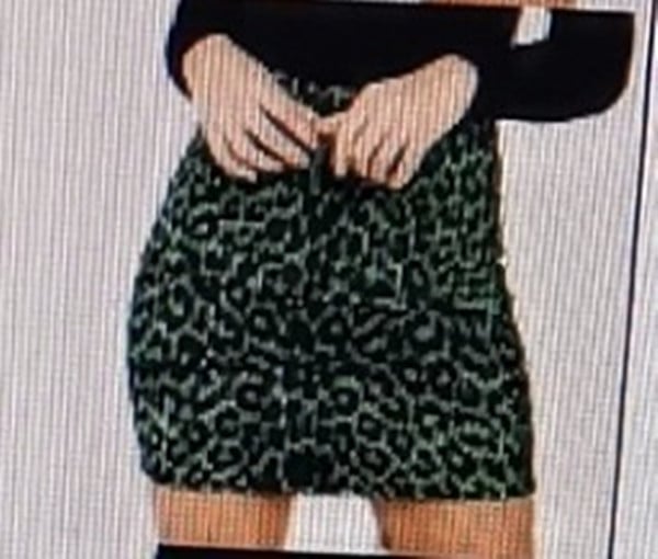 Leopard Print High Waist Skirt - Urban Pulse Life