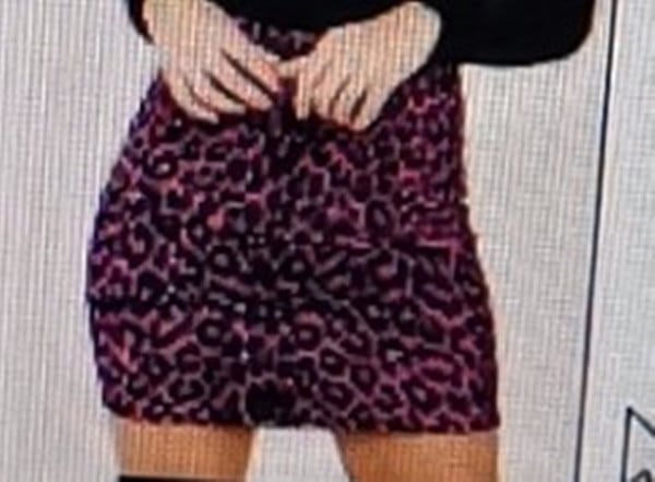 Leopard Print High Waist Skirt - Urban Pulse Life
